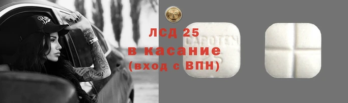 гидропоника Ельня